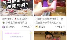 赚钱项目全解析,探索多元化收益途径